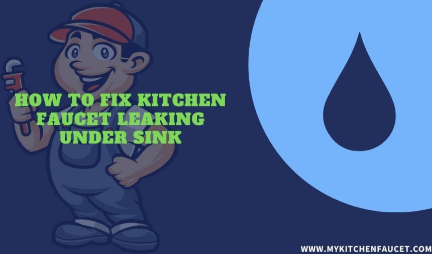Kitchen Faucet leaking under sink? Here’s How to Fix It